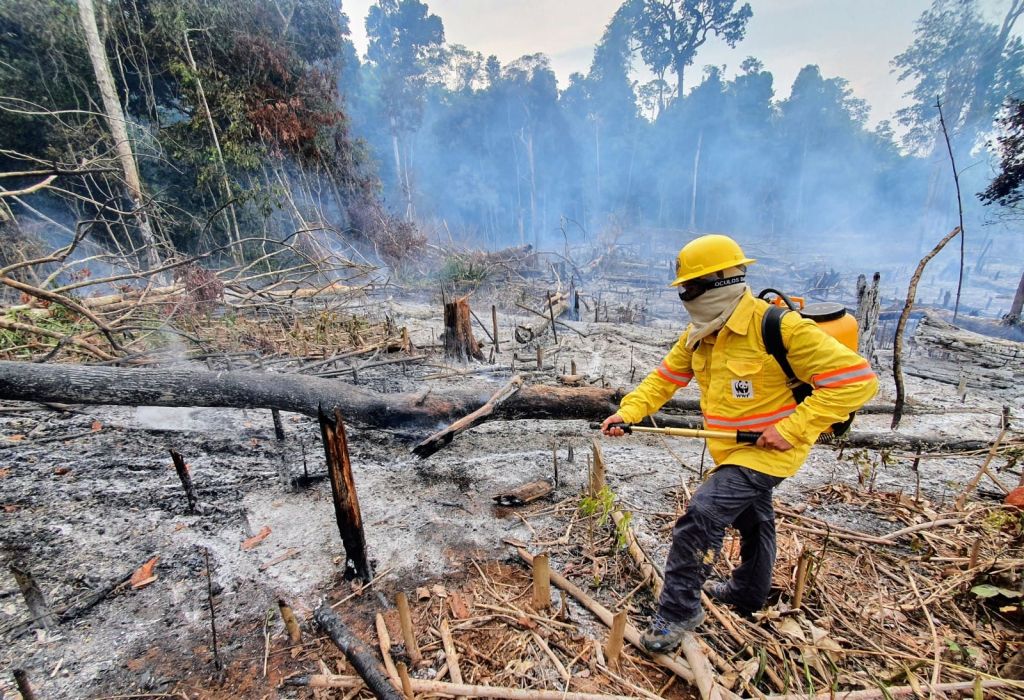 Vi har kun én natur - og den har brug for os nu